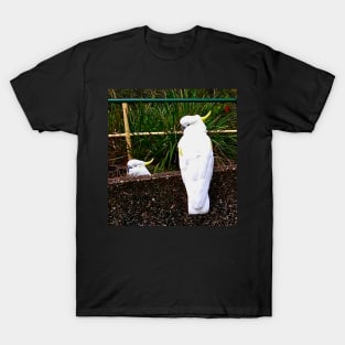 The Two Cockatoos! T-Shirt